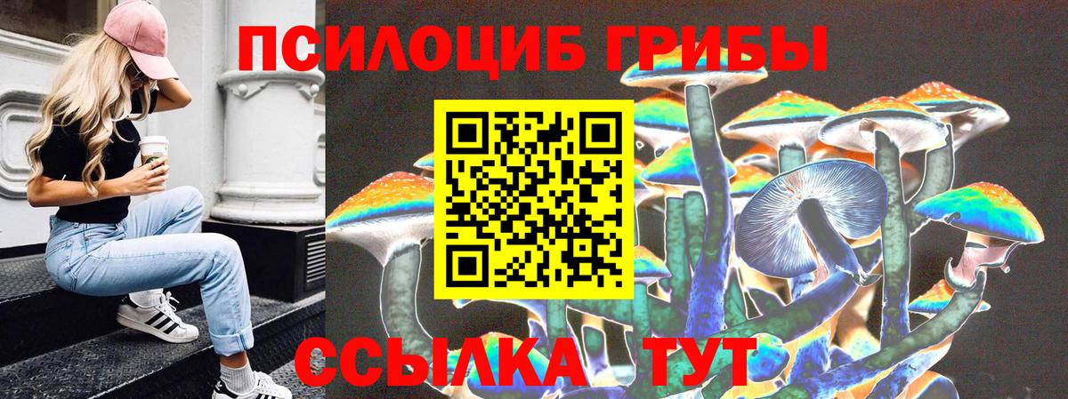Рязань  Псилоцибиновые грибы Magic Shrooms  Вход с VPN 