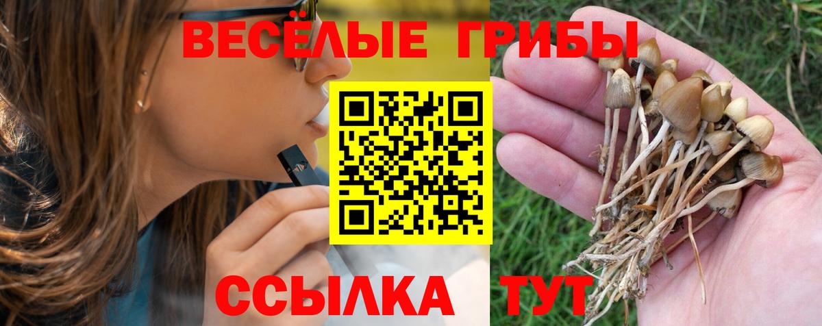 Галлюциногенные грибы мухоморы Рязань